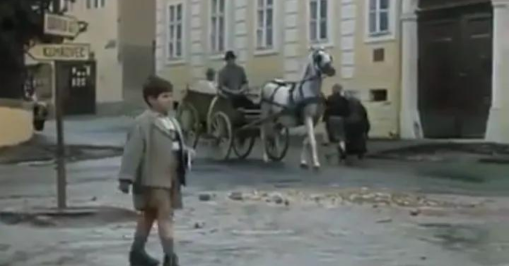 Mali Zoran Tito i ja
