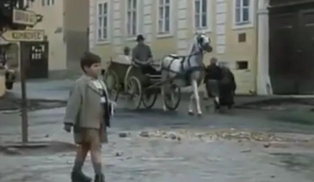 mali Zoran